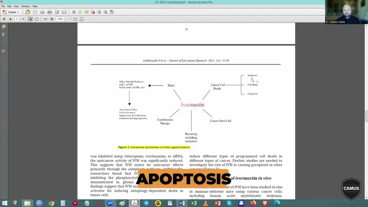 Cancer cure by Ivermektin?