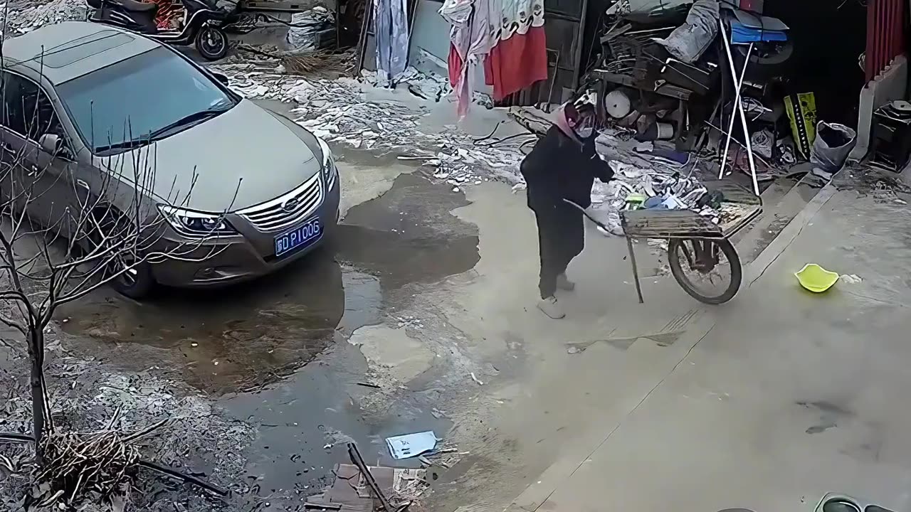 Funny video