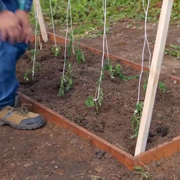 GROENE TIPS VOOR GROENE VINGERS 🍀