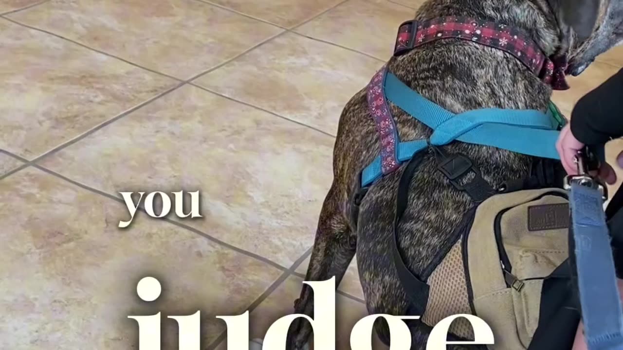 Your story
