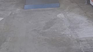 skateboarding