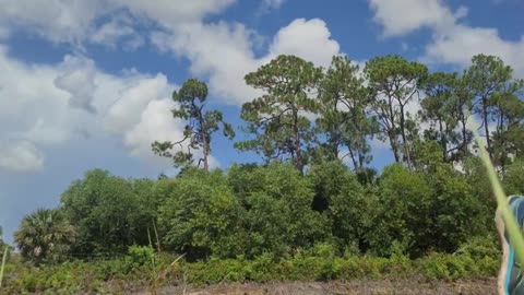 chi la fa l aspetti with live bait tarpon and snook fishing in Florida_part10
