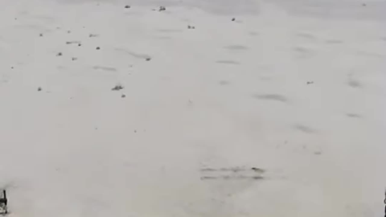Iran Missile