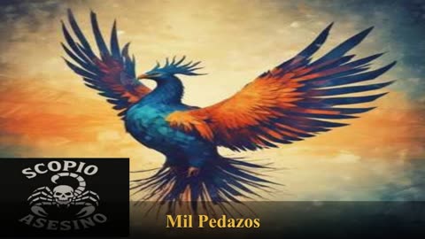 Mil Pedazos