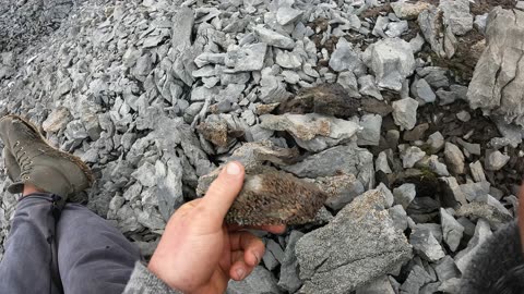 Fossilized Corals in 5300m altitude