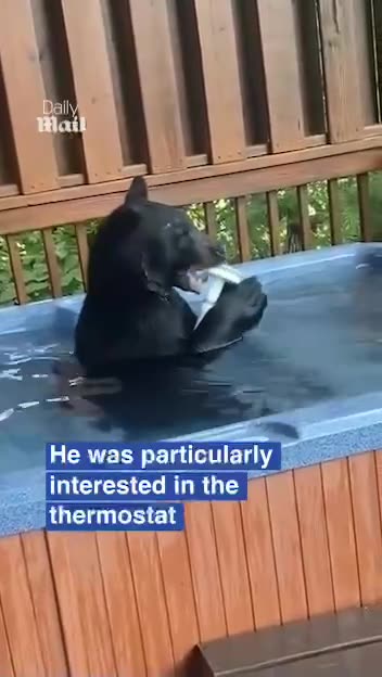 The neighborhood cooling station 🤣