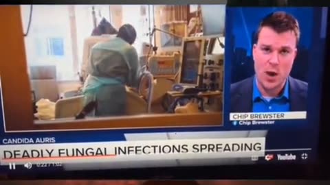 😨🍄 Deadly Fungus Spreading in the US! Stay Safe! | TheHauntingHour