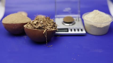 Iboga: Africa’s Sacred Plant with Healing Power