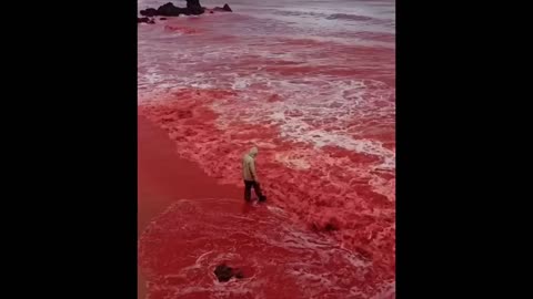 STRANGE SIGNS OF THE END TIMES ARE HAPPENING! BLOOD RAIN & RIVERS & OCEANS TURNING RED!