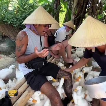 Duck farm tour experience