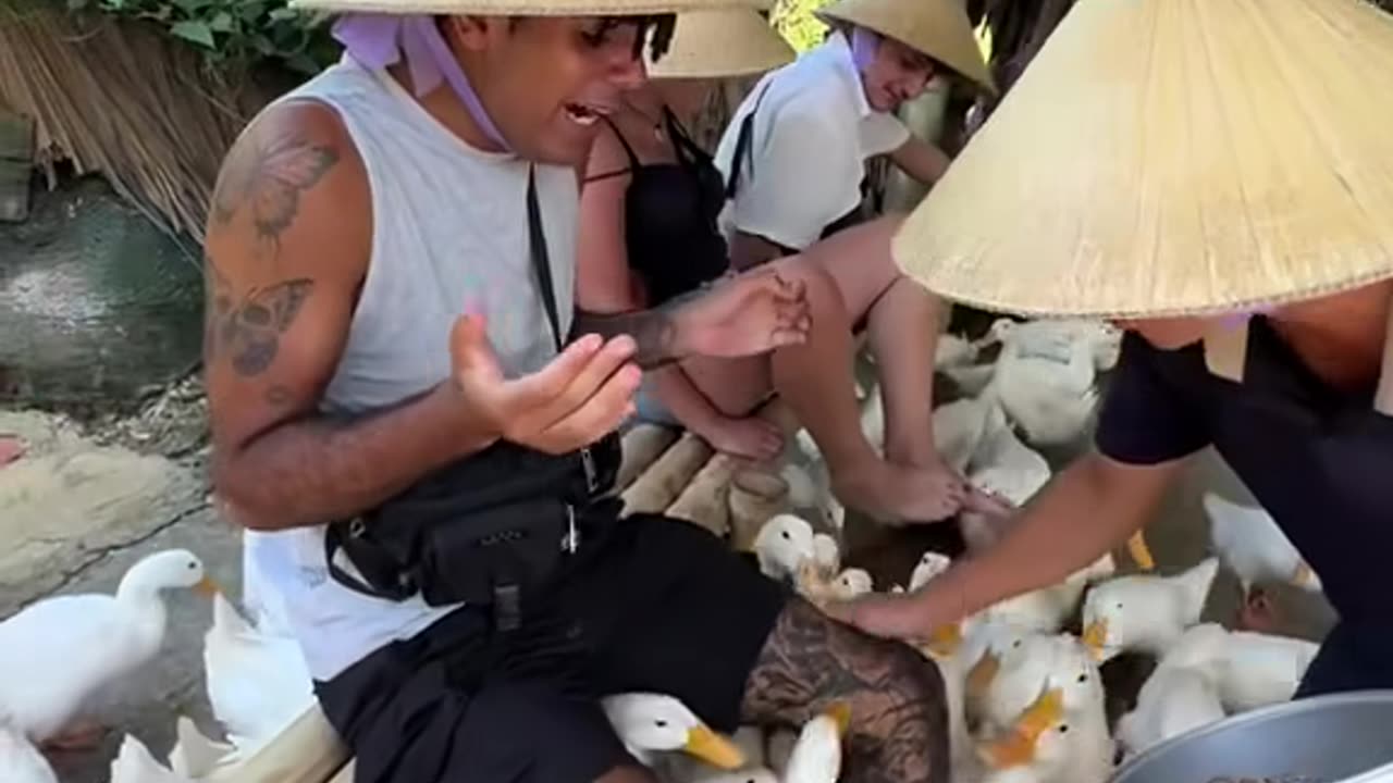 Duck farm tour experience