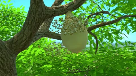 SSYouTube.online_Sweet Moments - Jungle Beat _ Munki and Trunrt
