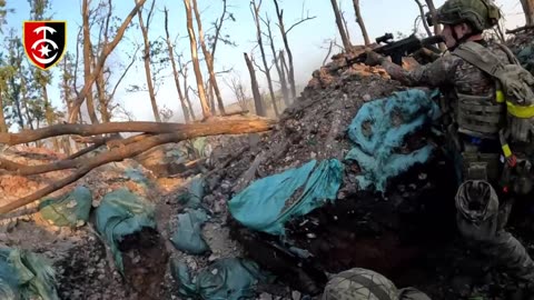 Ukrainian Armed Forces Storming Russian Trenches Near the Village of Zaliznyanske, Donetsk Region