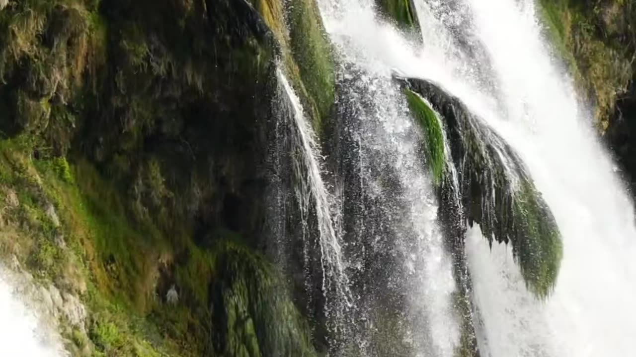 Lush Falls Nature’s Calming Embrace