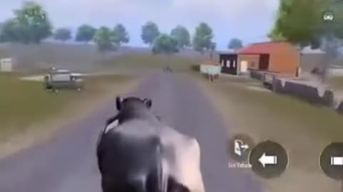 Funny video