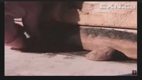 The Forgotten Technology