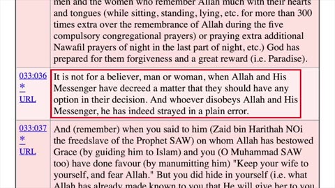 Why Muslims Are Cheering for Tucker Carlson