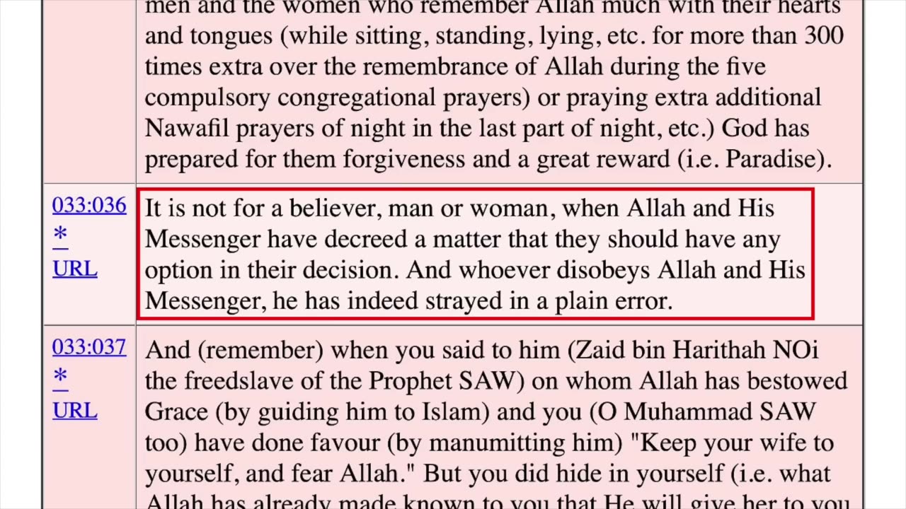 Why Muslims Are Cheering for Tucker Carlson