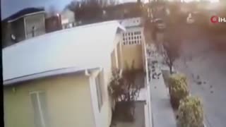 Flock Of birds crashes into the ground in Mexico.