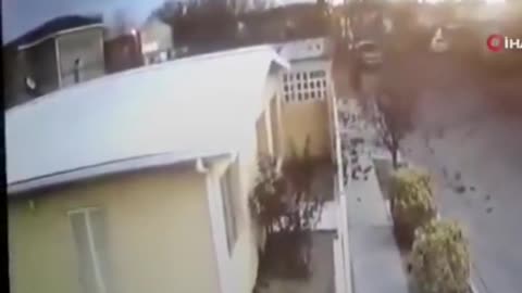 Flock Of birds crashes into the ground in Mexico.