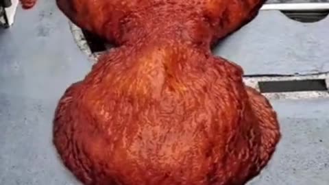 ¡El Asombroso IQ del Pulpo Ingenioso! #Pulpo #InteligenciaAnimal #pulpo #CuriosidadesMarinas #TikTo