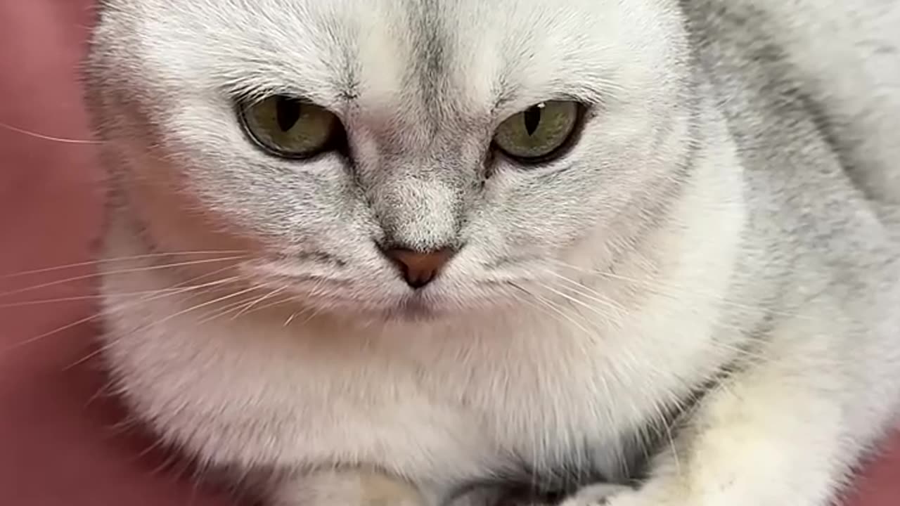 I didn't expect this