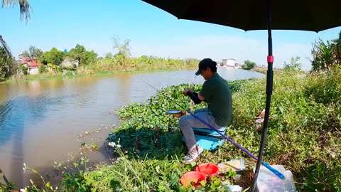 Bream Spin Fishing in Lake Grass Beds