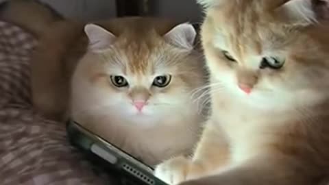 Watching engaging content