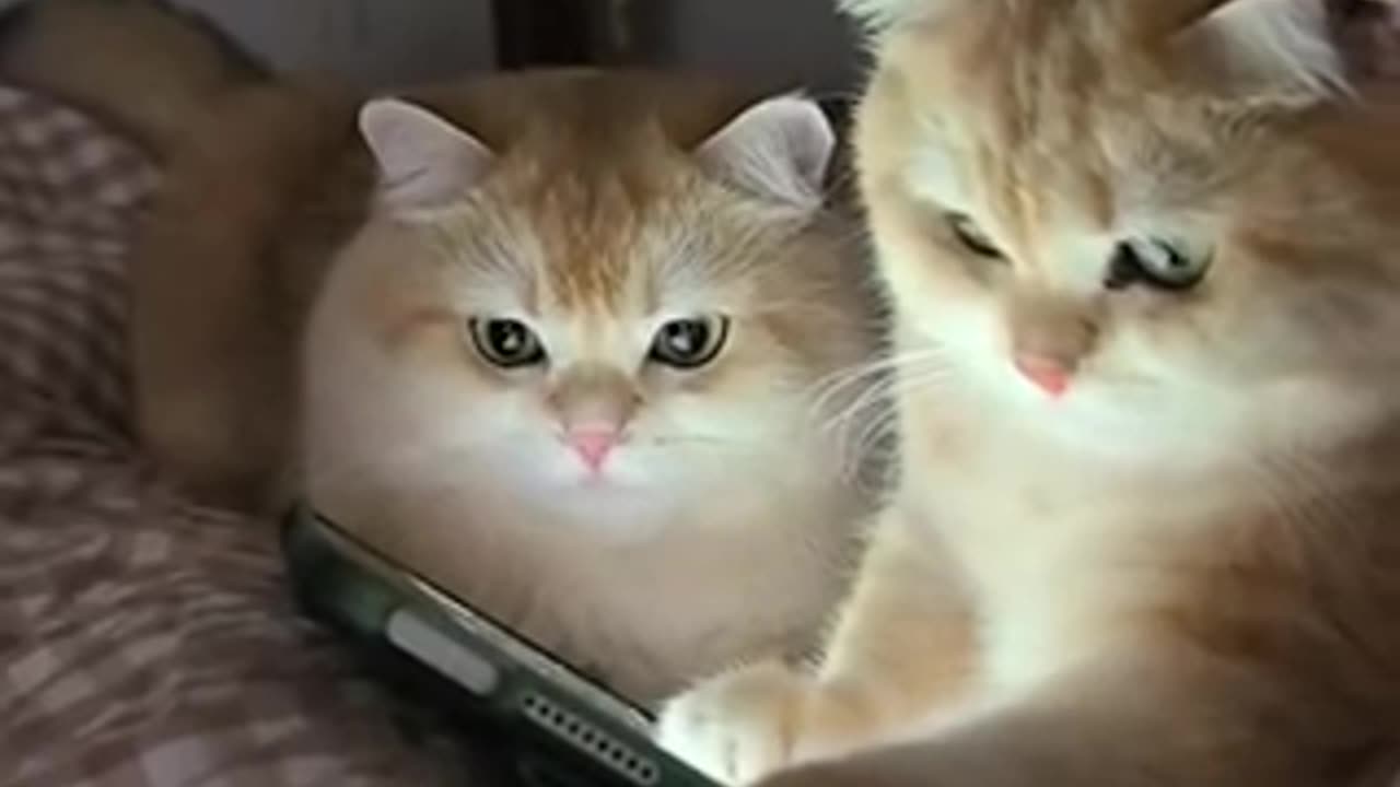 Watching engaging content