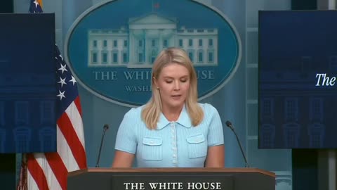 Karoline Leavitt: Alligator Alcatraz Will Help Carry Out Mass Deportations