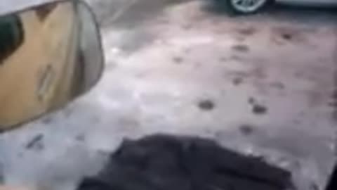 Woman Parks on Coat
