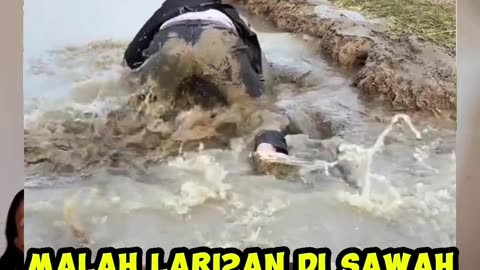 Comedy makes you laugh Comedy 2