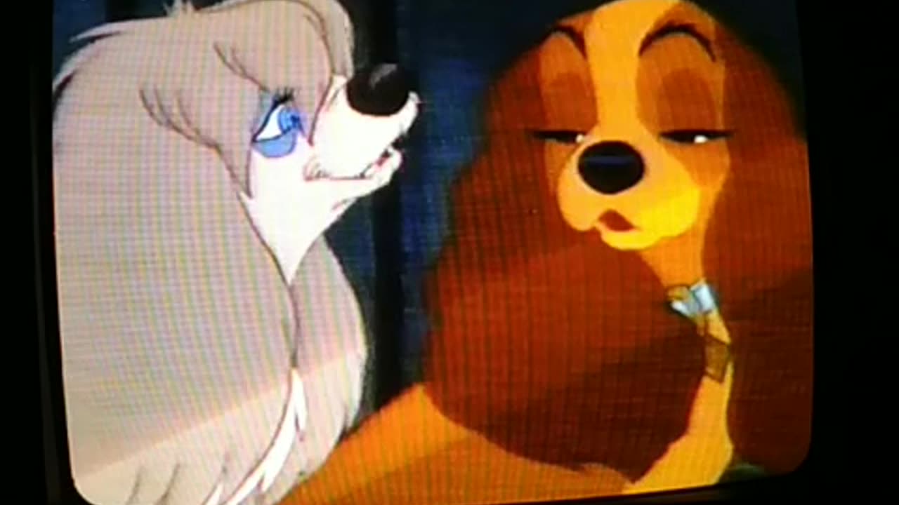 27. Lady and the Tramp VHS (1987)