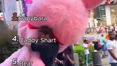 FUNNY MASCOT!!! FAT!!!