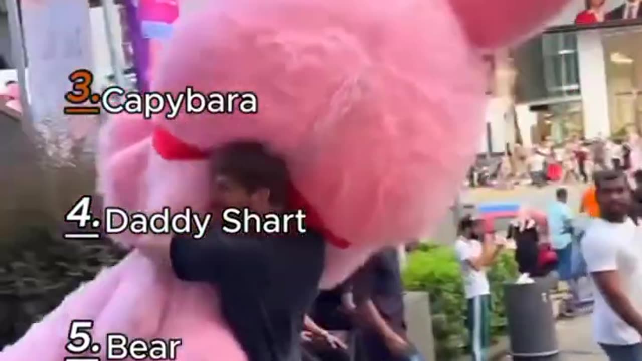 FUNNY MASCOT!!! FAT!!!