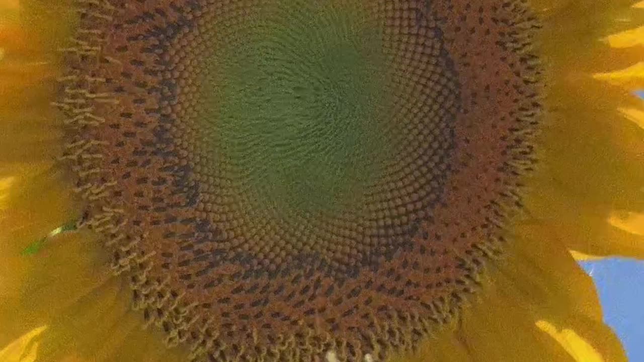 49 Delays Intro