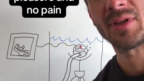 All Pleasure no Pain