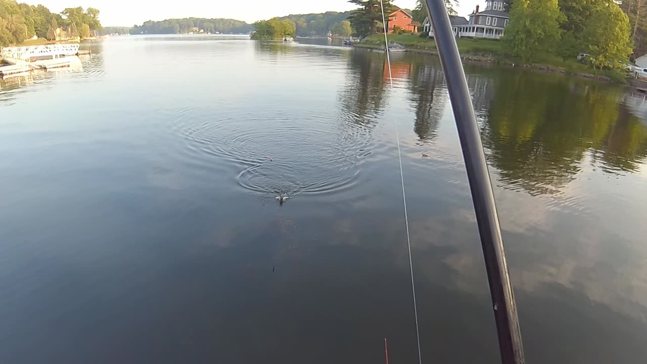 Decent Multi-Species Fishing After Work! (New Local Lake/Spillway, Summer 2023)