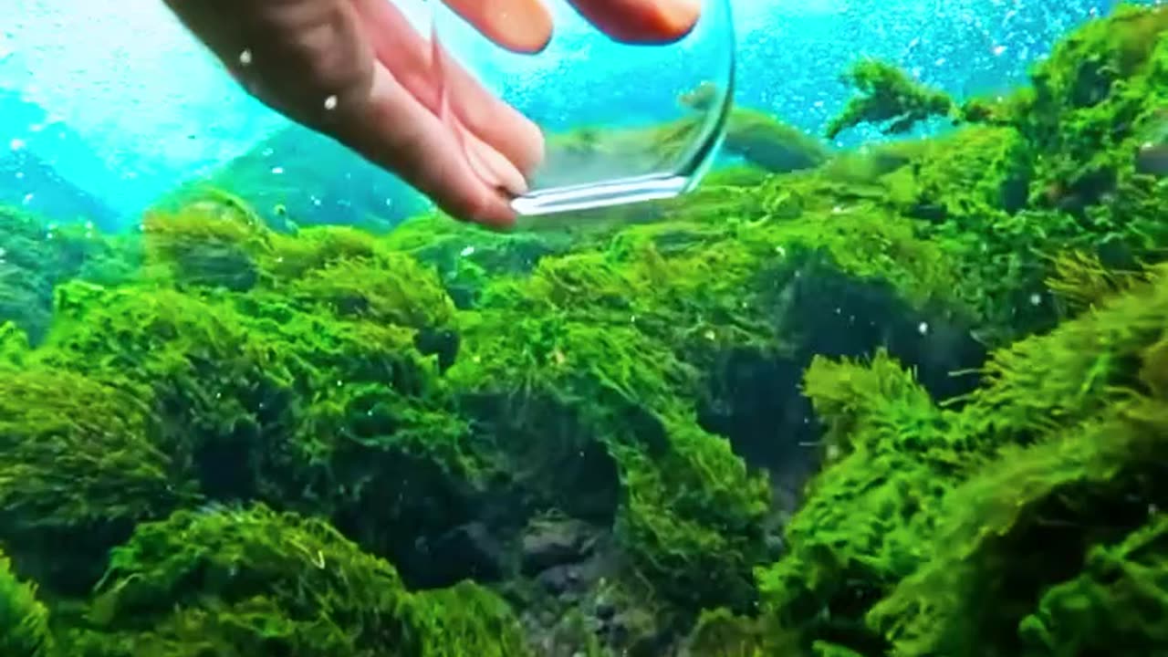 ❤️Wonderful environment❤️❤️