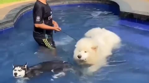 When you don't care who's in your way