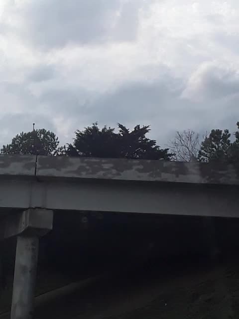 Dixie Flag on 85 Silent Video