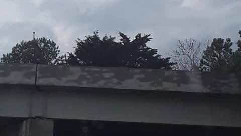Dixie Flag on 85 Silent Video