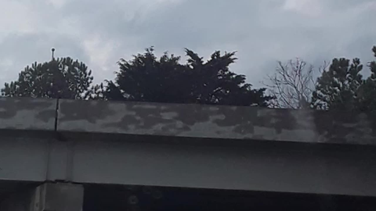 Dixie Flag on 85 Silent Video