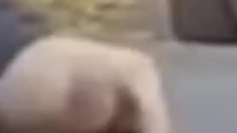This is just a short showing a close up.
