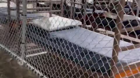 Alligator Alcatraz