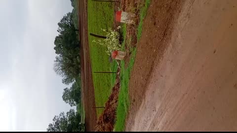 |village life|