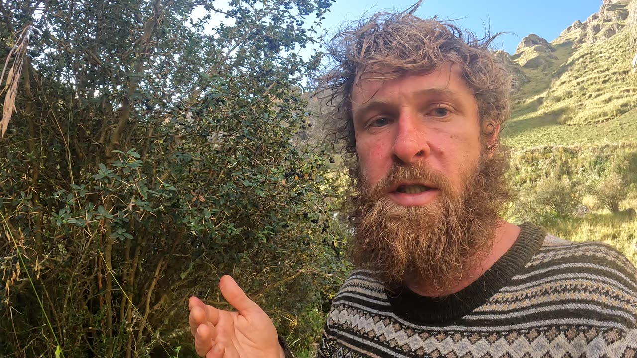 Comidas silvestres, microbioma, sanacion