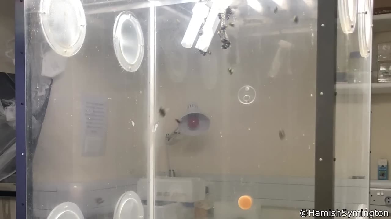 When to Put your Turtle in the Refrigerator - Your Daily Does of Internet