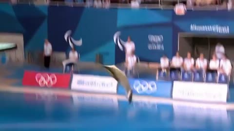 Which Fish Wins Gold _ Animal Olympics