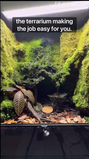 6 Month Indoor Ecosystem!